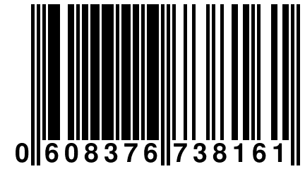 0 608376 738161