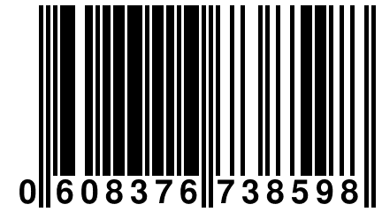 0 608376 738598