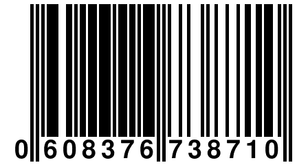 0 608376 738710