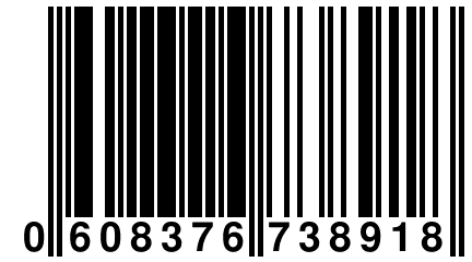 0 608376 738918