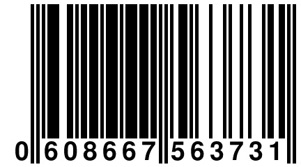 0 608667 563731