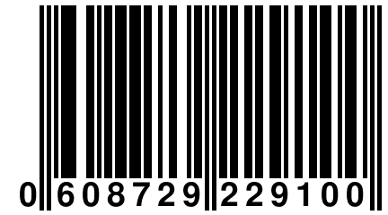 0 608729 229100