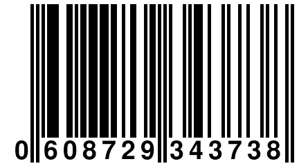 0 608729 343738