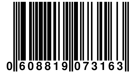 0 608819 073163