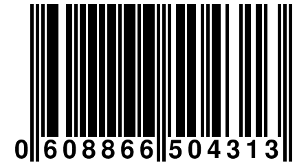 0 608866 504313