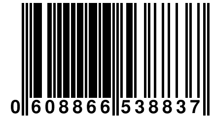 0 608866 538837