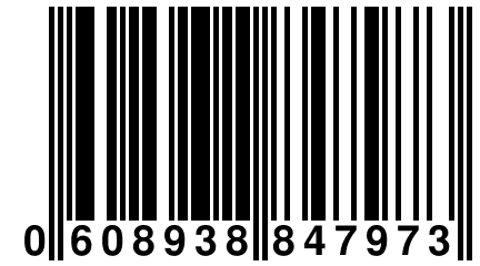 0 608938 847973