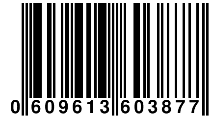 0 609613 603877