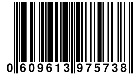 0 609613 975738