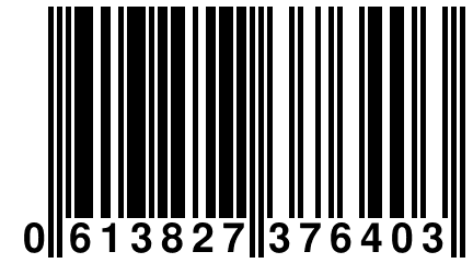 0 613827 376403