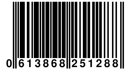 0 613868 251288