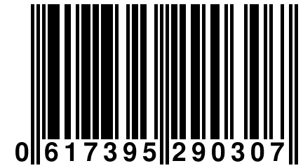 0 617395 290307