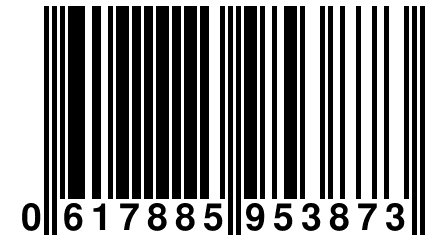 0 617885 953873