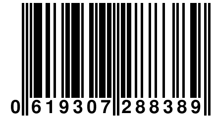 0 619307 288389