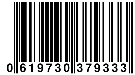 0 619730 379333