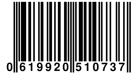 0 619920 510737