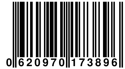 0 620970 173896