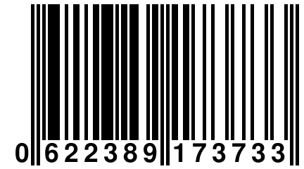 0 622389 173733