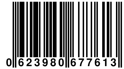 0 623980 677613