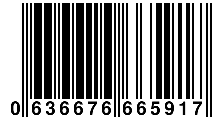 0 636676 665917