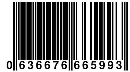 0 636676 665993