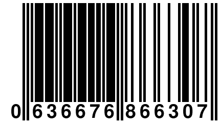 0 636676 866307