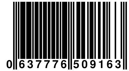 0 637776 509163