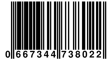 0 667344 738022