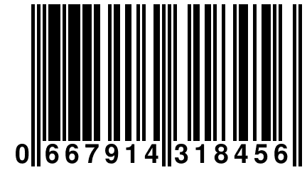 0 667914 318456