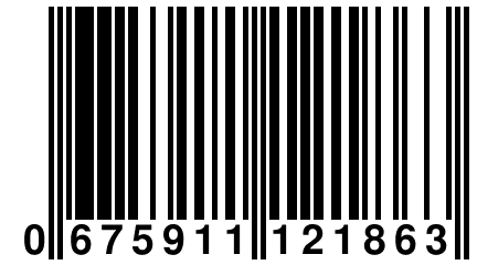 0 675911 121863