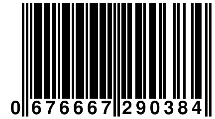 0 676667 290384