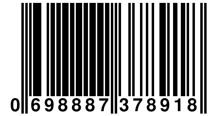 0 698887 378918