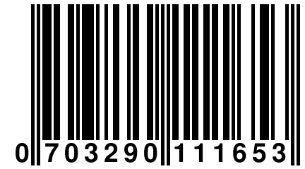 0 703290 111653