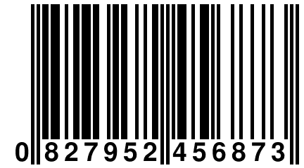 0 827952 456873