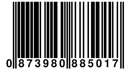 0 873980 885017