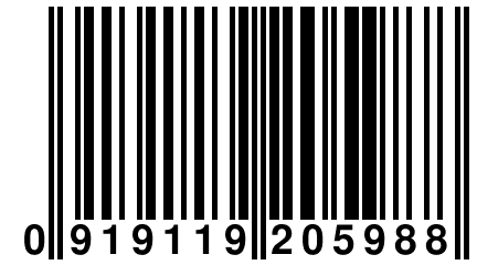 0 919119 205988