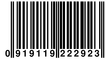 0 919119 222923