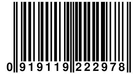 0 919119 222978