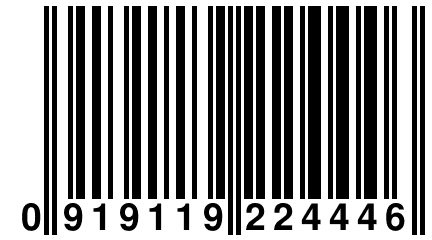 0 919119 224446