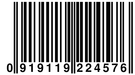 0 919119 224576