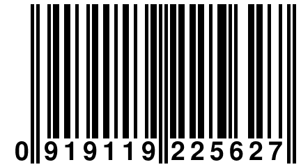 0 919119 225627