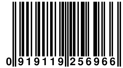 0 919119 256966