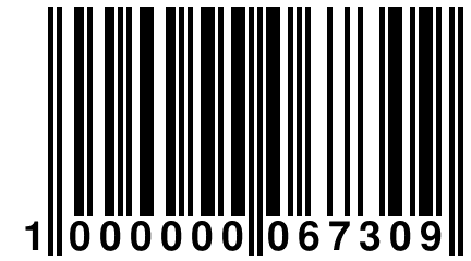 1 000000 067309