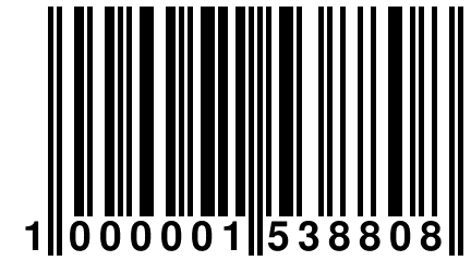 1 000001 538808