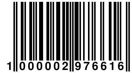 1 000002 976616