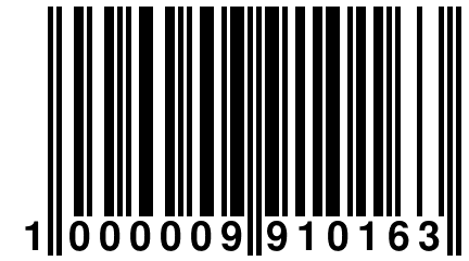 1 000009 910163