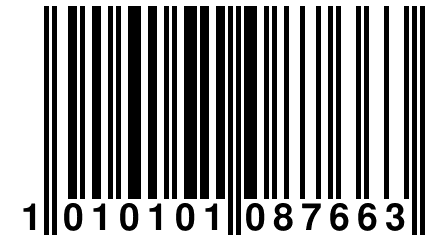 1 010101 087663