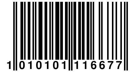 1 010101 116677