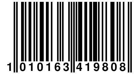 1 010163 419808