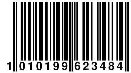 1 010199 623484